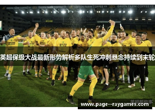 英超保级大战最新形势解析多队生死冲刺悬念持续到末轮 英超保级大战最新形势解析多队生死冲刺悬念持续到末轮